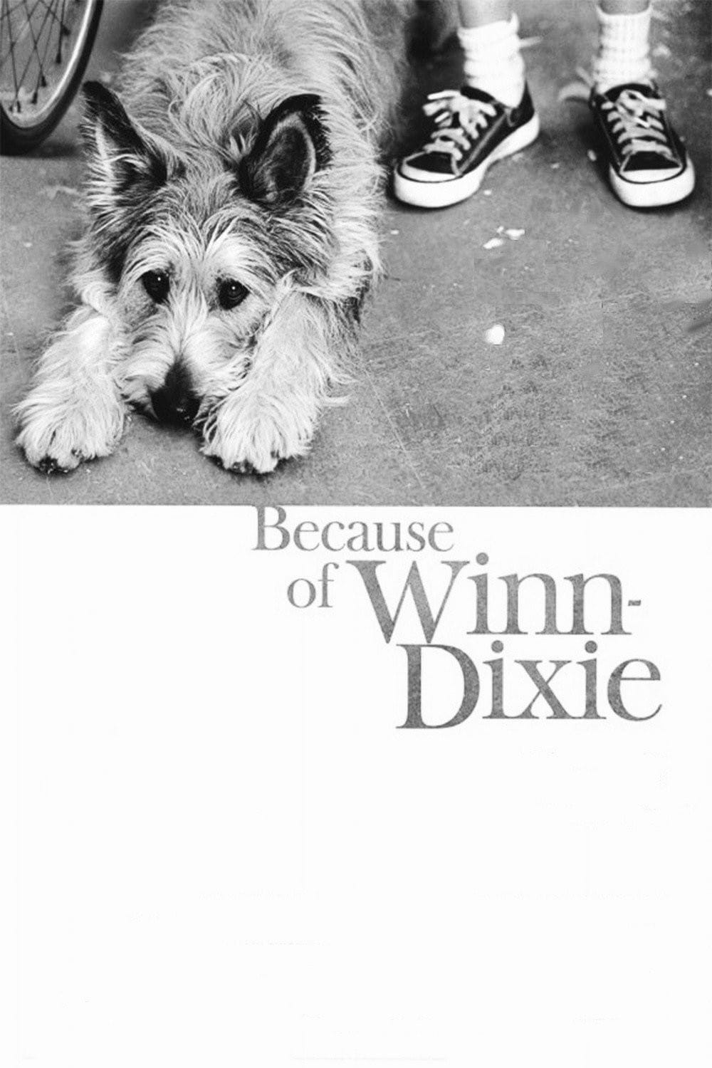 Because of Winn-Dixie (2005)