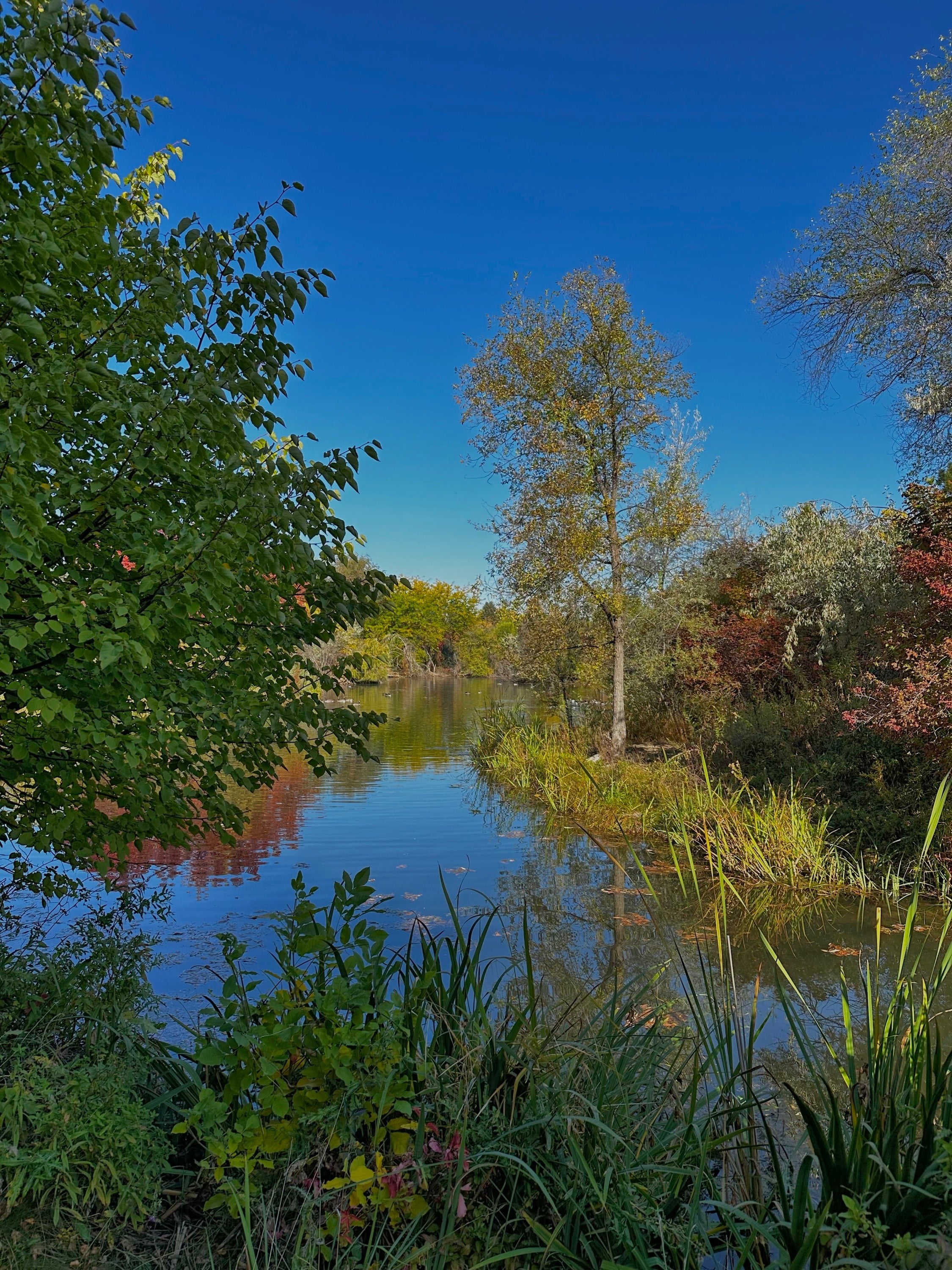Kathryn Albertson Park