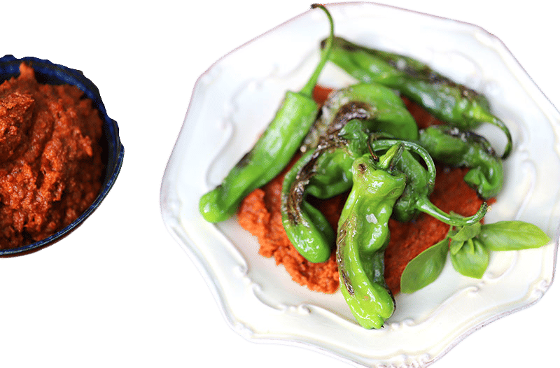Blistered Shishito Peppers