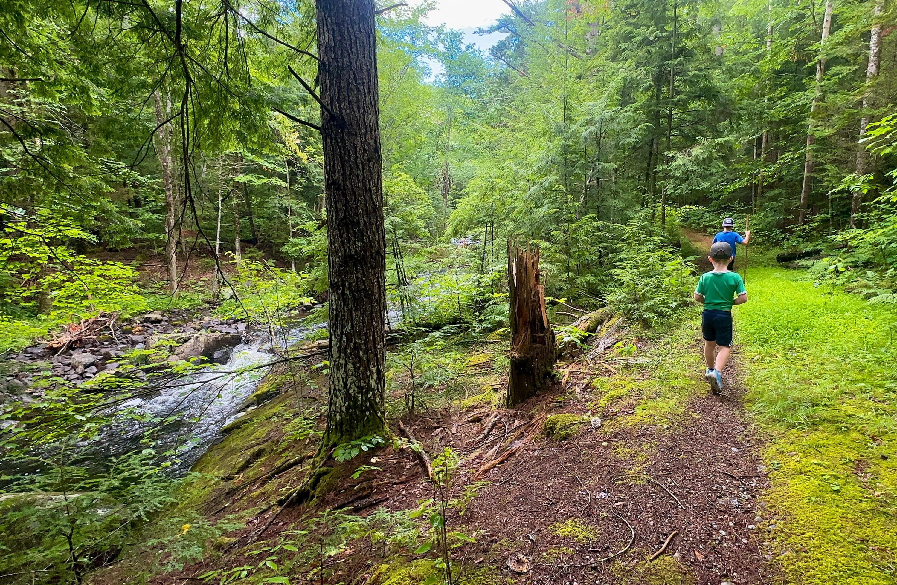 Take a hike!
