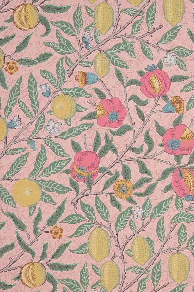 Fruit Wallpaper