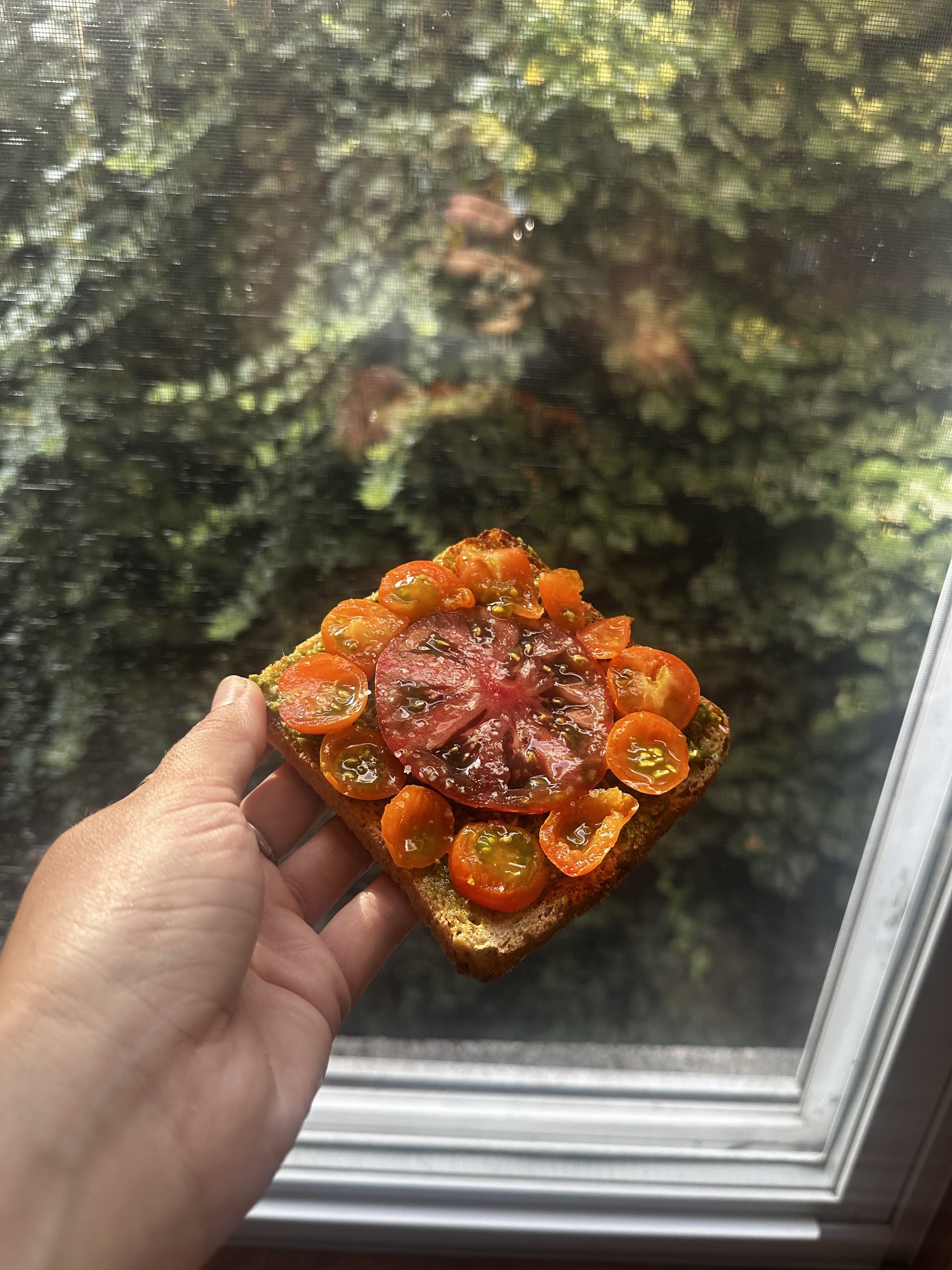 have fun with your tomato toast
