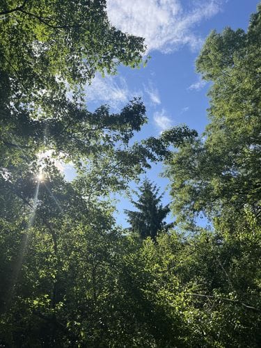 Prospect Park