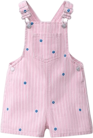 Striped & Embroidered Floral Twill Overall Shorts