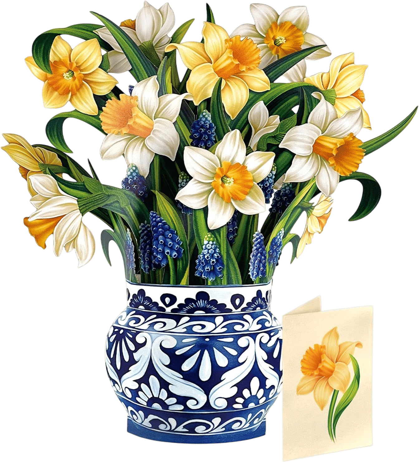 Freshcut Paper English Daffodils 12" Pop Up Card