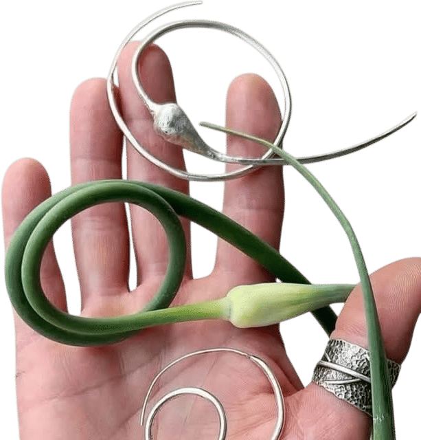 Garlic Scape Hoops