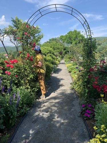 Bridge of Flowers