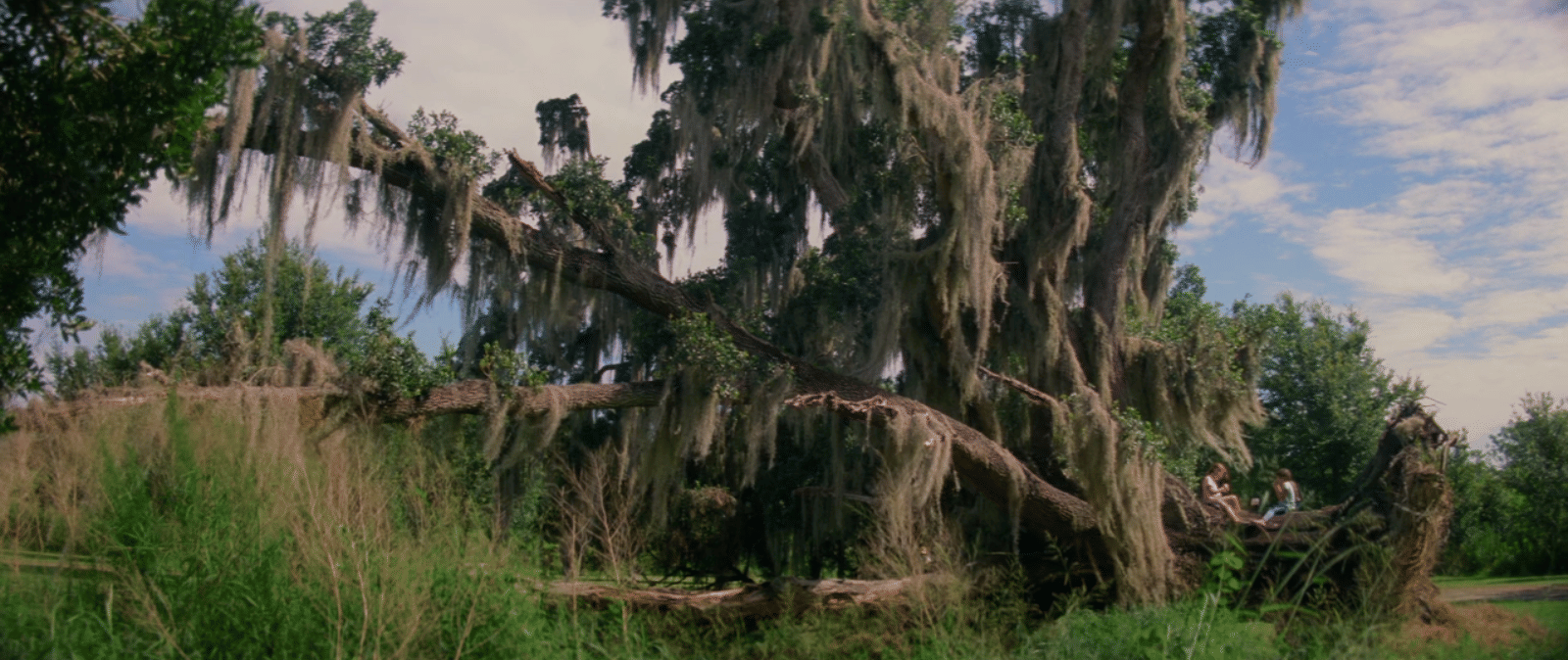 The Florida Project (2017)