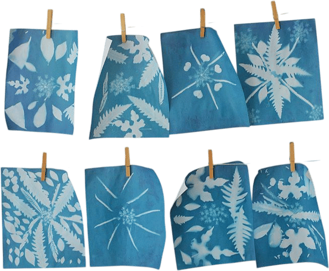 Sun Prints with Kids