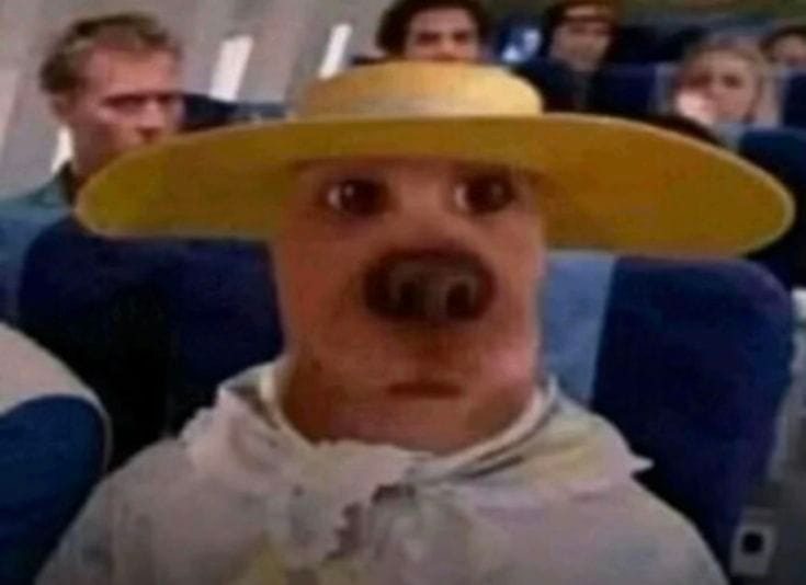 “rut roh”