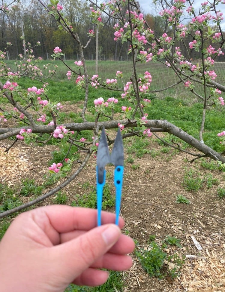 Deadhead mini snips