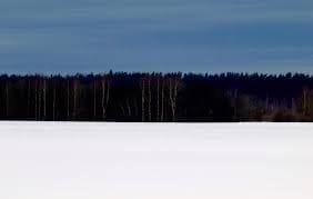 Estonia ๐ช๐ช