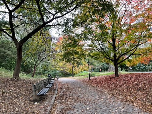 prospect park