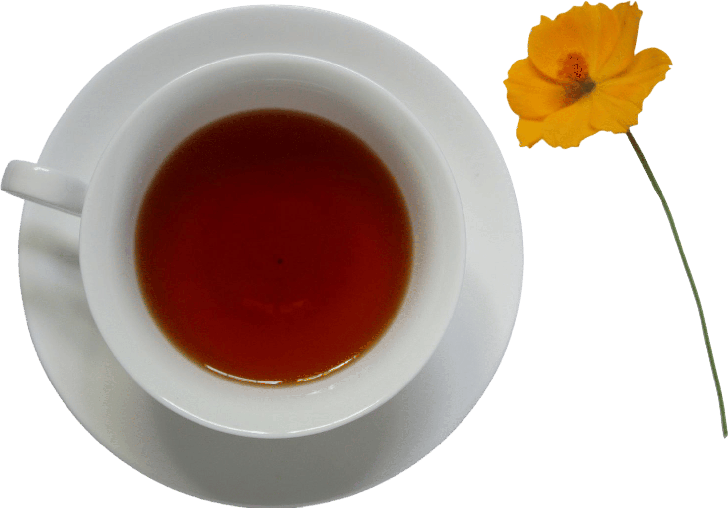 NORA tea