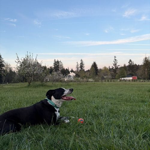 sniff spot