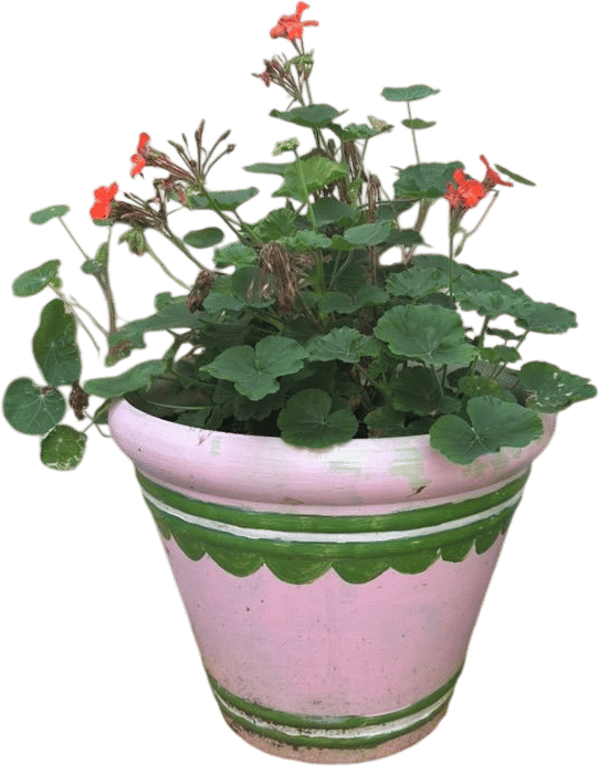 Painting your outdoor flower pots