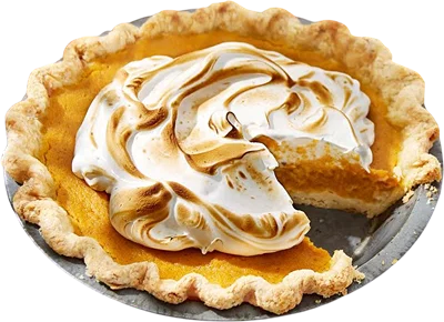 Roasted Butternut Squash Pie Recipe