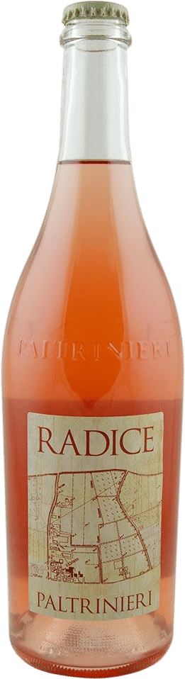 Paltrinieri Lambrusco from Emilia-Romagna