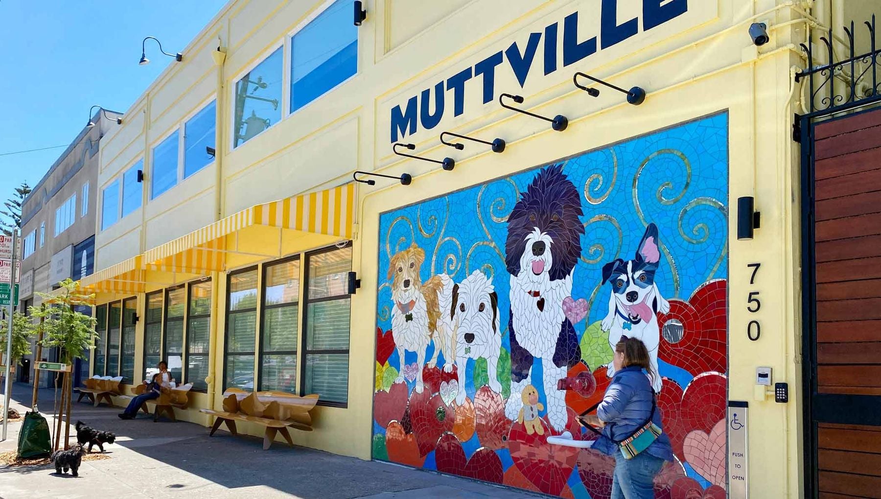 Donate to a rescue org in memory of a friend’s pet