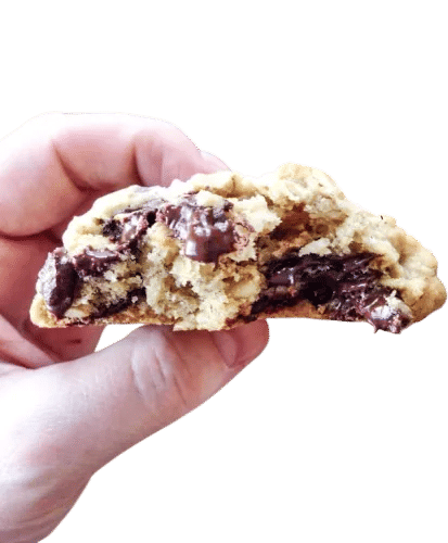 lactation cookies