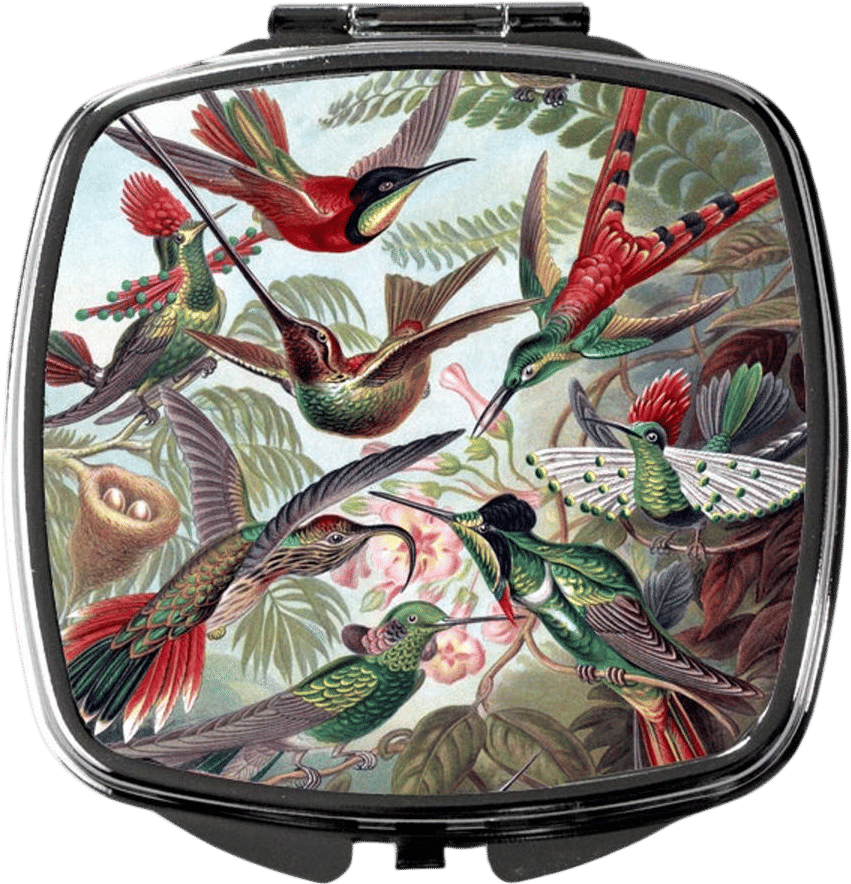 Vintage Hummingbird Compact Mirror, Bird Lover Pocket Mirror, Lightweight Compact, Nature Aesthetic, Valentine's Gift for Wife, Girlfriend