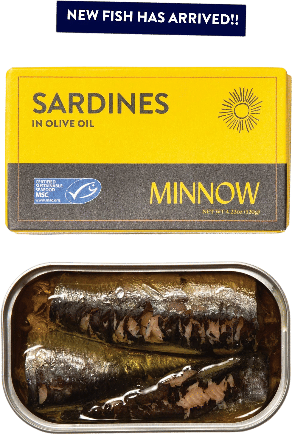 Sardines in Olive Oil