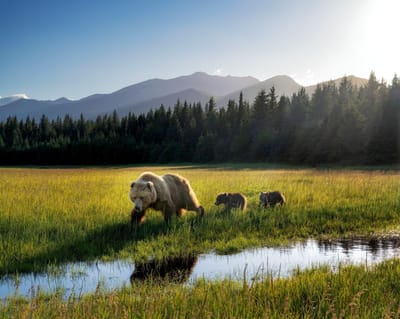 Alaska