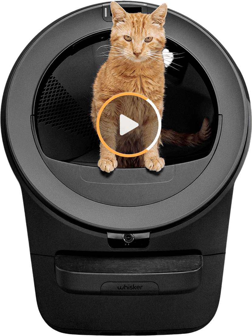 litter robot