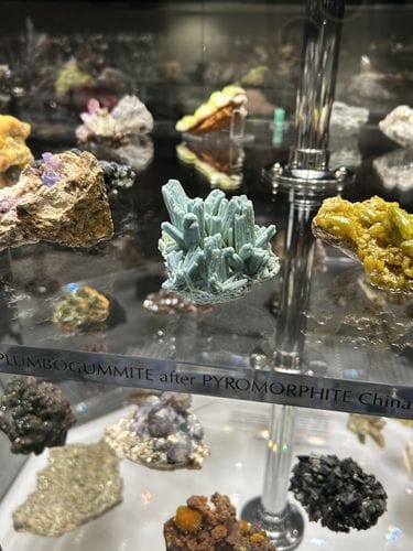 Carnegie Museums of Art and Natural History