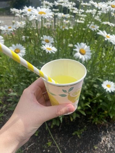 Stopping at the Lemonade Stand