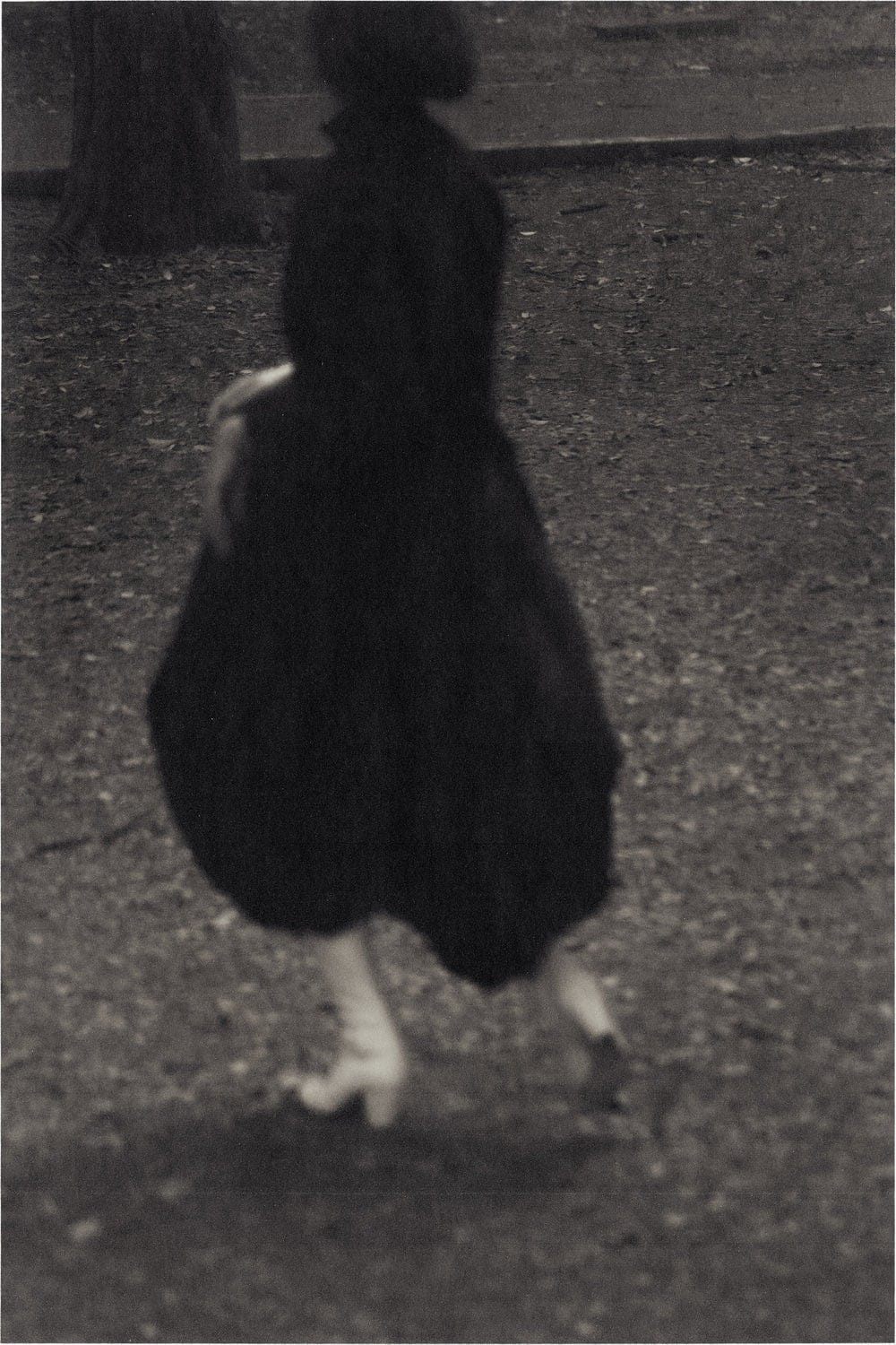 The Pantaloon in Black