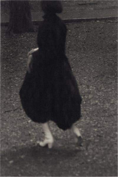 The Pantaloon in Black