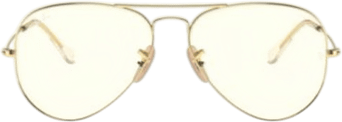 Ray Ban Unisex Evolve Photochromatic Glasses RB3025