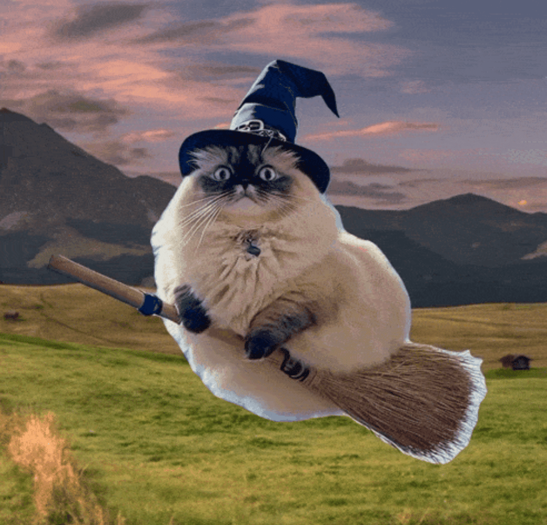 Flying witch cat meme