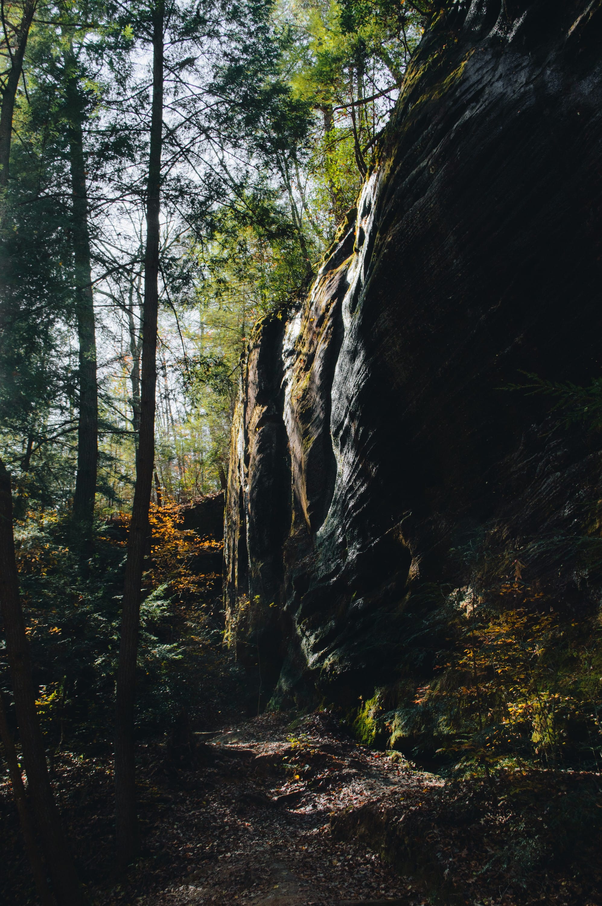 Night Tour at Dismals Canyon - Visit the Dismalites