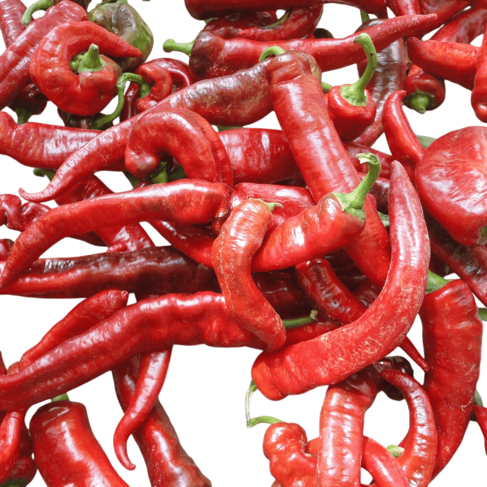 Jimmy Nardello Peppers