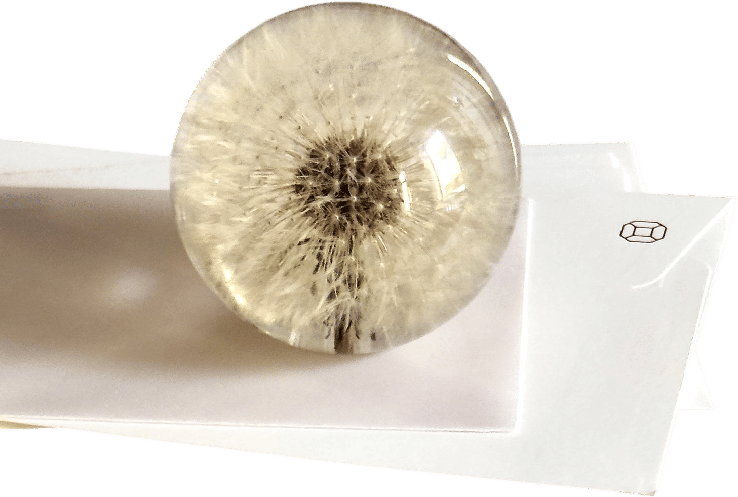 Dandelion Paperweight