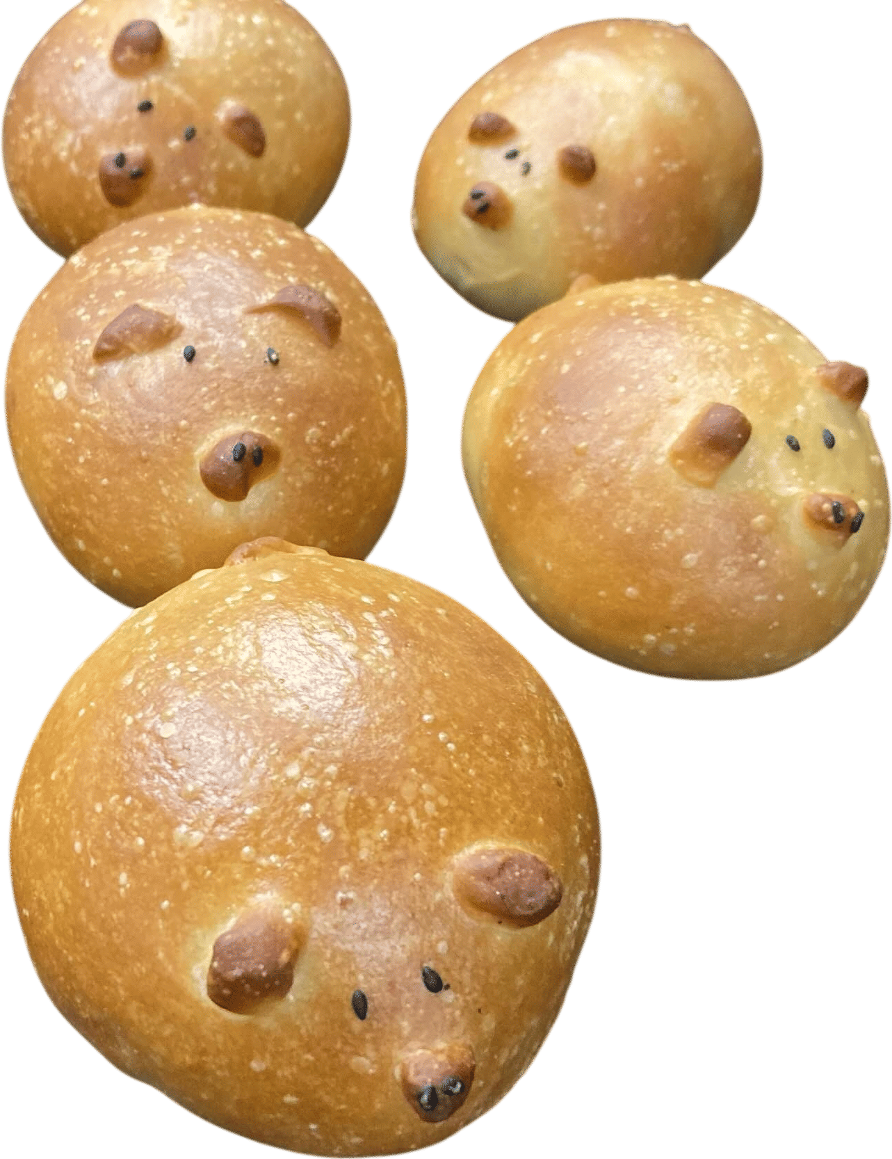 🍞 タルイベーカリー