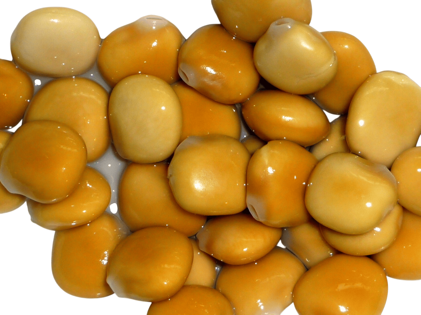 Lupini Beans
