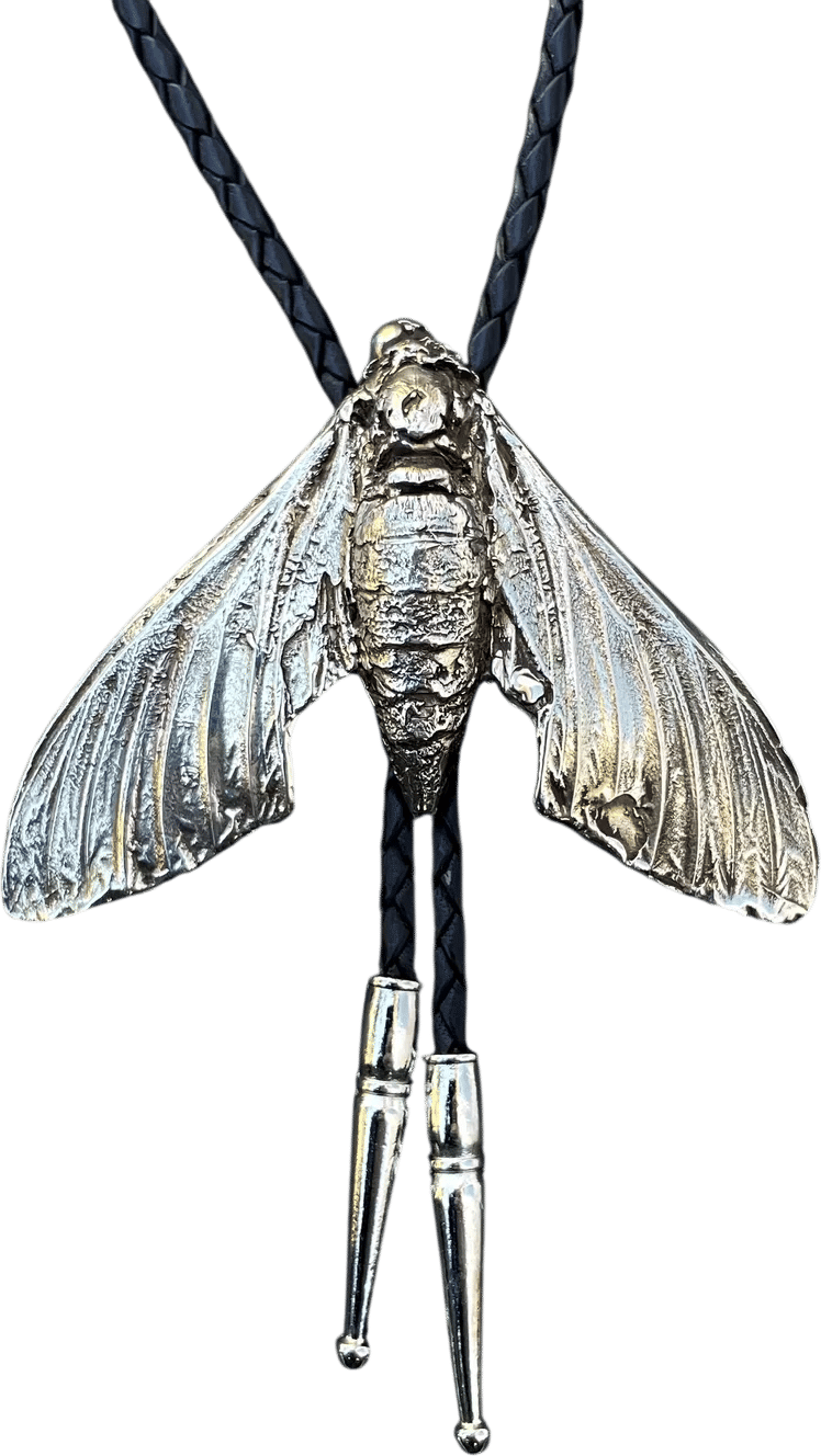 Sphinx Moth Bolo Tie
