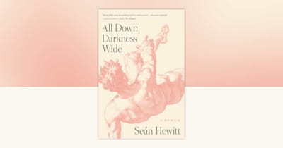 All Down Darkness Wide