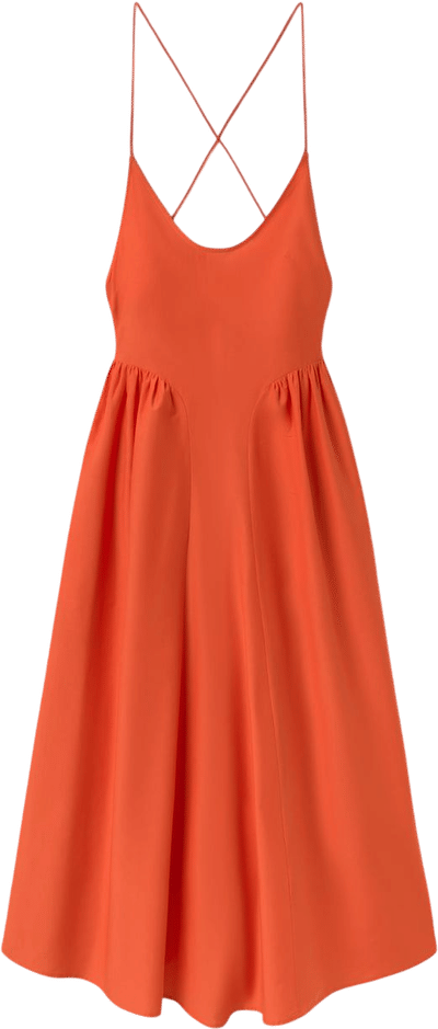 Dive Dress Snapper
