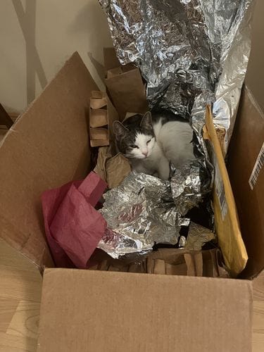 Box of Trash