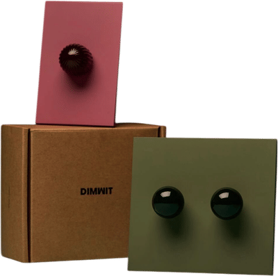 Dimwit Anagrams Collection Sample Kit