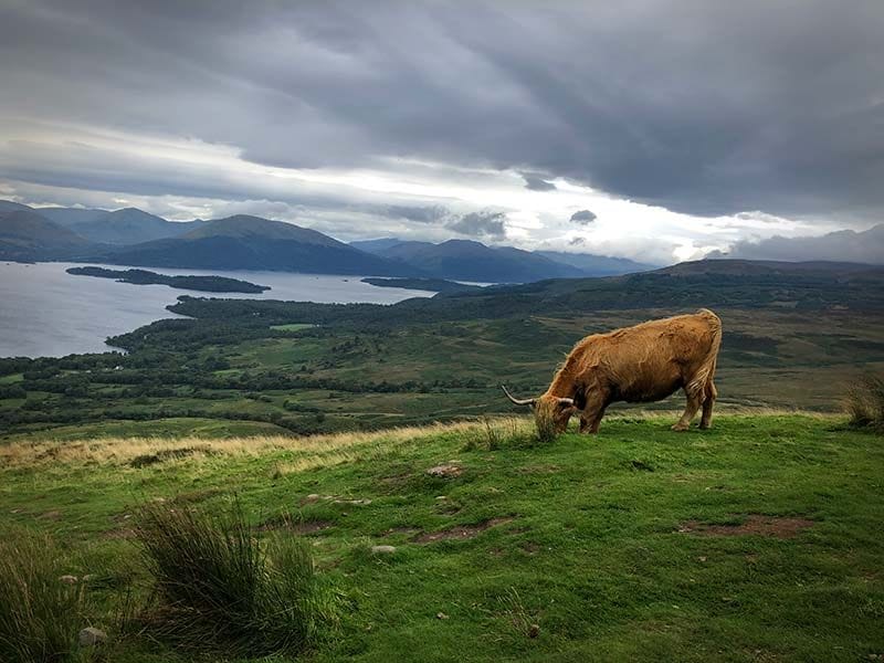 The West Highland Way