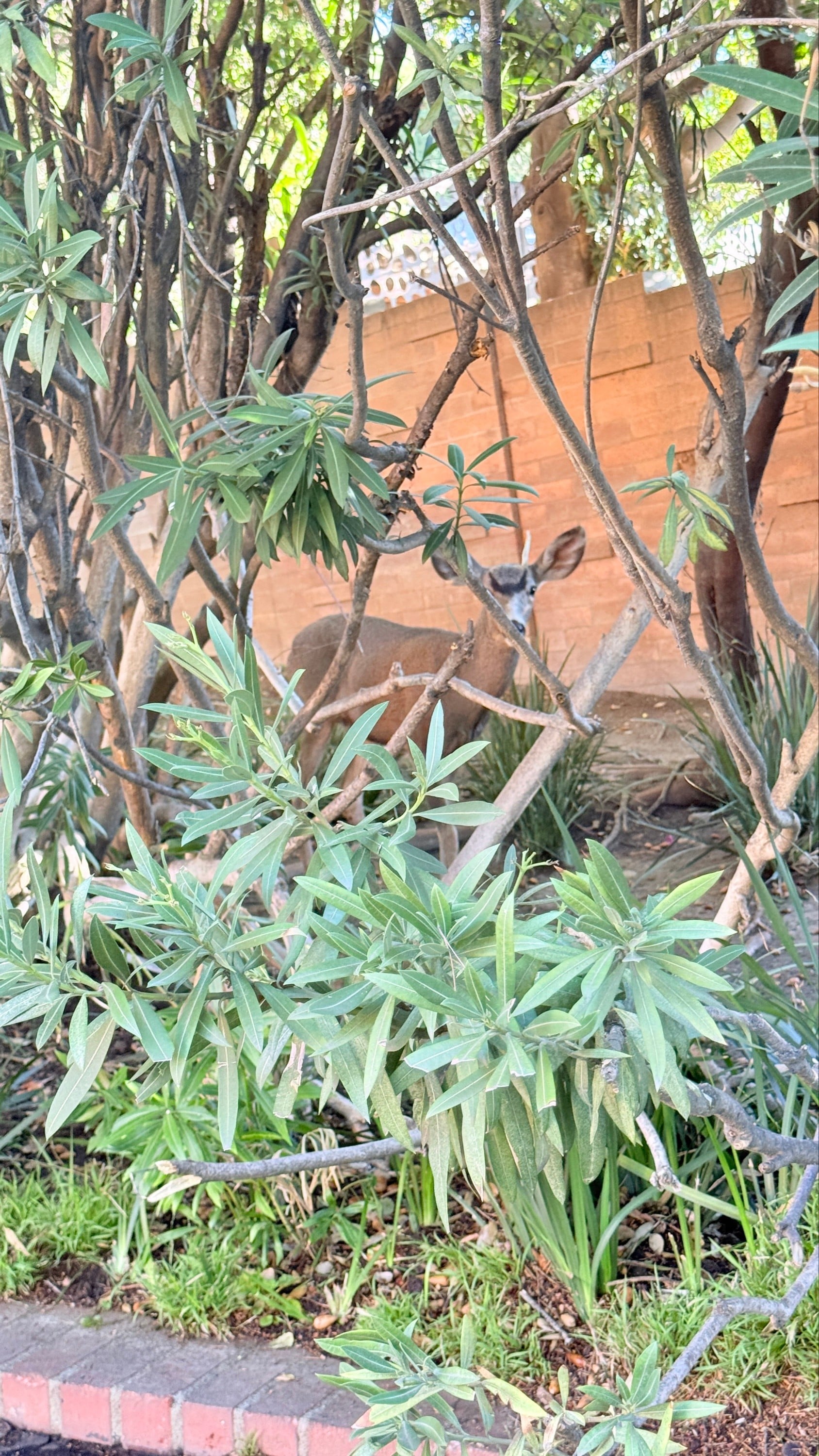 Nature Porn