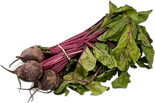 beets