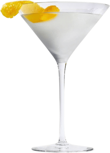 Extra Dry Gin Martini Recipe