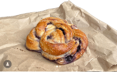 Blueberry Bun