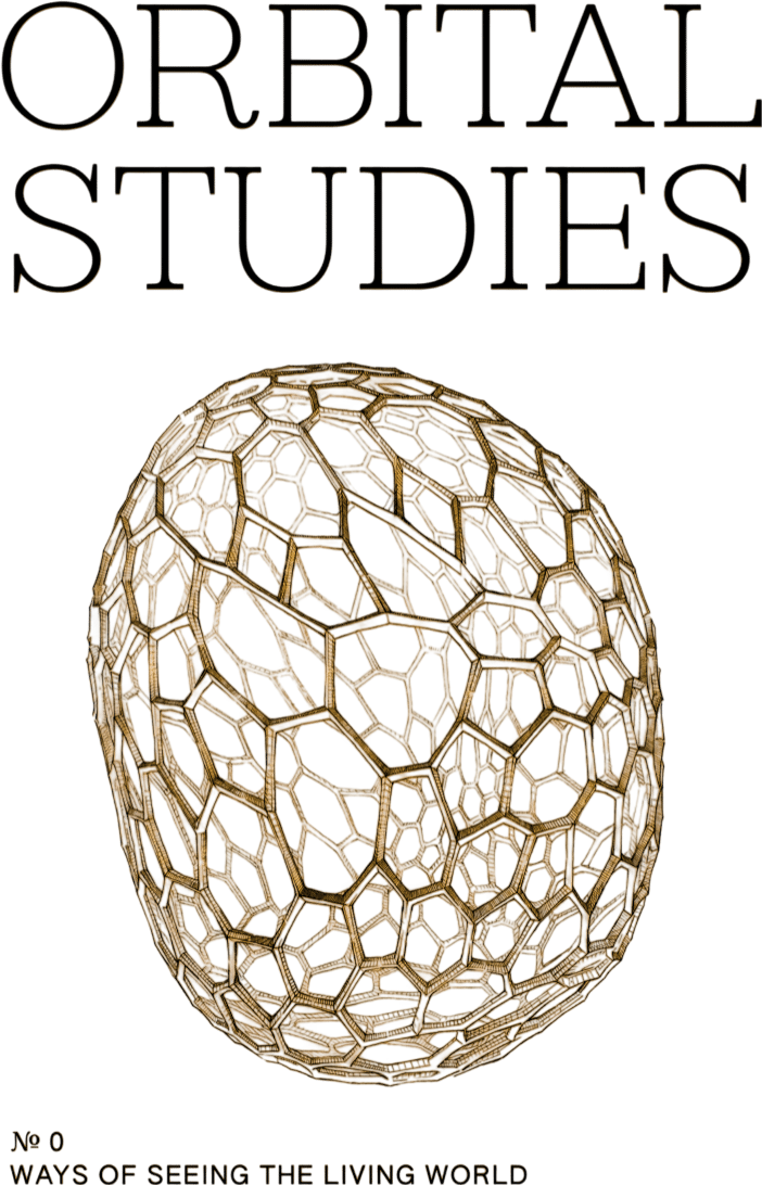 Orbital Studies: Ways of Seeing the Living World